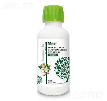 桃滿枝-美爾豐-康奈爾