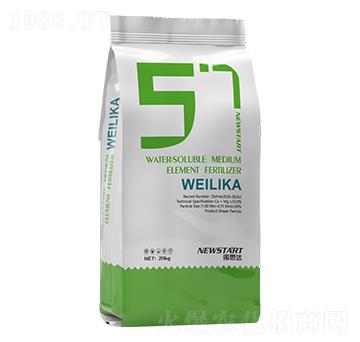 ΢���� �Z˼�_(d��)