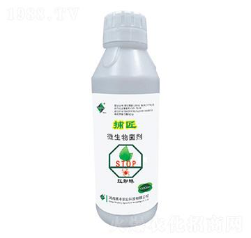 ΢�������-����-�v�S�r(n��ng)�I(y��)