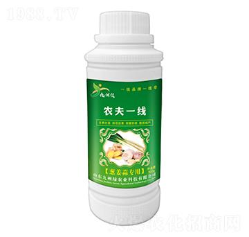 蔥姜蒜專用葉面肥 農(nóng)夫一線 九州綠