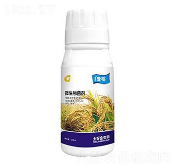 100ml壹稻 土好金