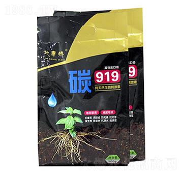 ΢����̼�� ̼919 ����