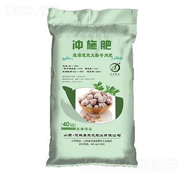 大蒜專(zhuān)用沖施肥 東龍肥業(yè)