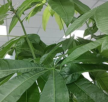 ����-��������