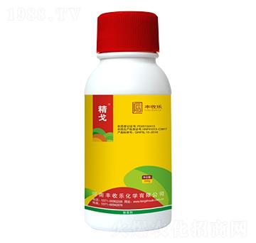 20%���@�-����-�S�՘�(l��)