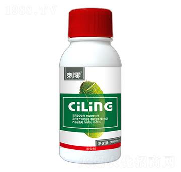 5%�٘����-����-�S�՘�