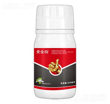 3%�׾S�}+����-�S��ָ-�S�՘�