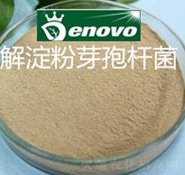 解淀粉芽孢桿菌-鼎微生物