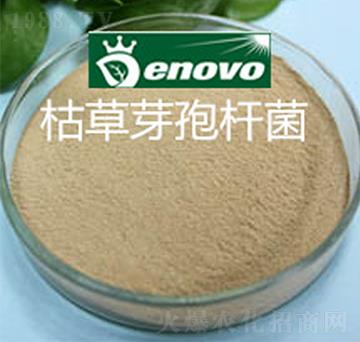 枯草芽孢桿菌-鼎微生物