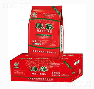 �����ЙC(j��)��-�}��-�ŵ�����