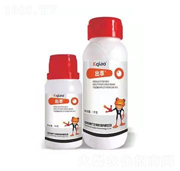 240��ÿ����߻���� ���� ��������