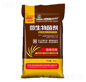 10�|΢������� ����