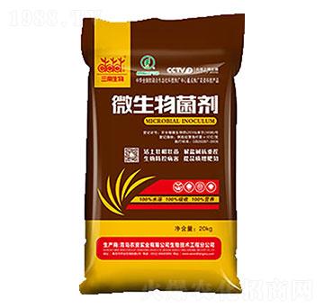 10�|΢������� �G��