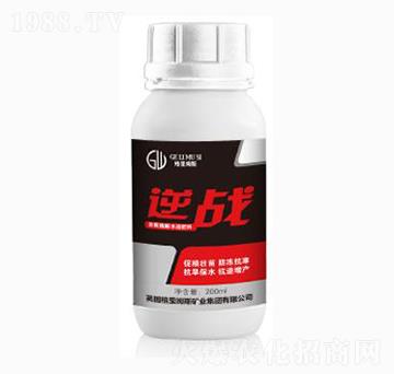 ���(zh��n)-�|���r(n��ng)�I(y��)