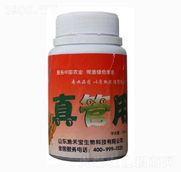 �����-ʩ�̌�