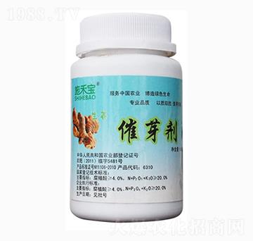 ������ѿ��-ʩ�̌�