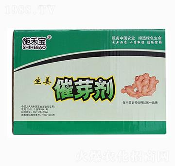 ������ѿ�����䣩-ʩ�̌�