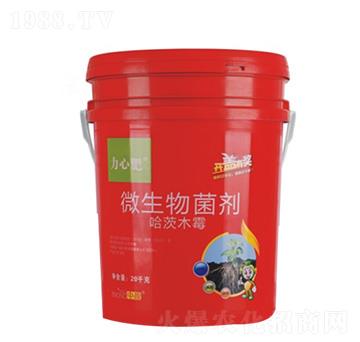 ΢������� ���ķ� ��ӯ