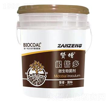 ΢������� ������ ٝ��