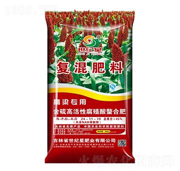 �������Ï�(f��)�����24-11-10-���o(j��)��