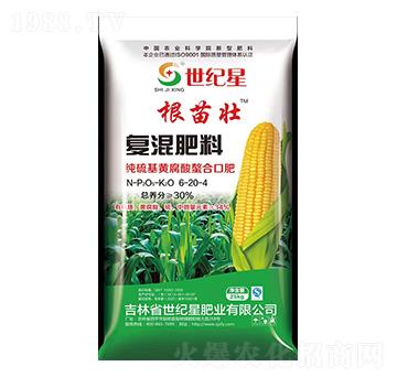 ������S�����������׌��Ï�(f��)�����23-8-10-�����-���o(j��)��