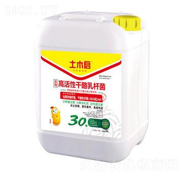 �߻��Ը�����U�� ��ľ������