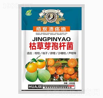 �ݲ�ѿ�ߗU��-��̿�����^-�A������