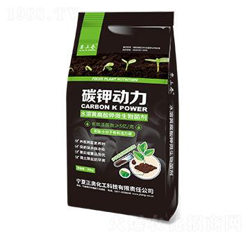 碳鉀動力 正奧化工