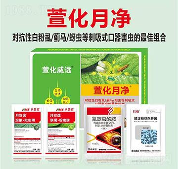 �滯���o-�滯���h