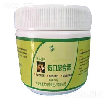 �������ϸ�-��ľ�B