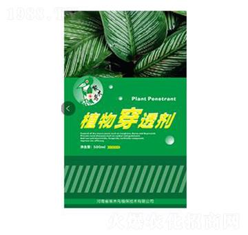 ֲ�ﴩ͸��-��ľ�B