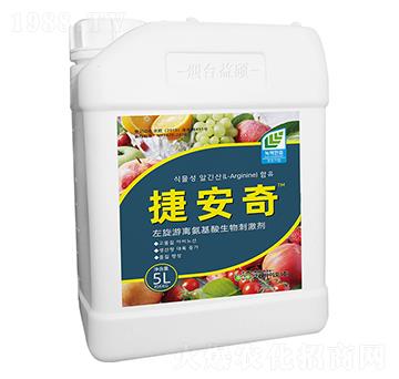 �������x����������̼���-�ݰ���-��T����