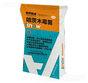 哈茨木霉菌-柴火妞妞-藍寶石