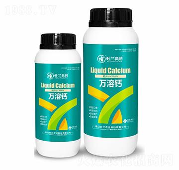 �f���}-�~�m�߿�