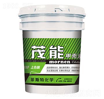 �ך���-ï��-��˹��