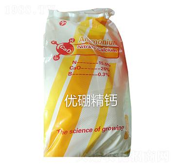 ��(y��u)���}-�ʺ̶��S