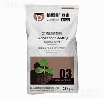 定植保秧菌劑-植原養(yǎng)農業(yè)