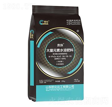 �������S����⛴���Ԫ