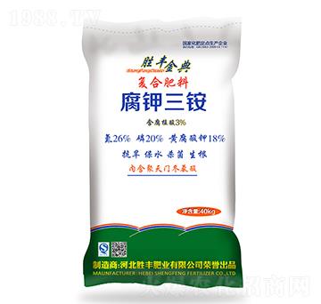 ������@26-20-18-���S���-���S�ʘI(y��)