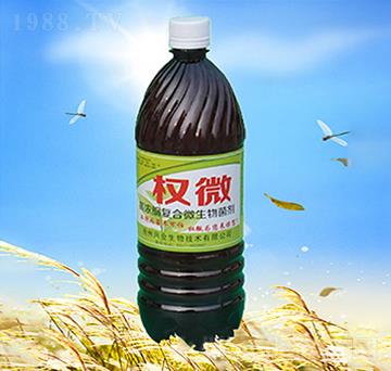 高濃縮復(fù)合微生物菌劑-權(quán)微-潤(rùn)源興禾