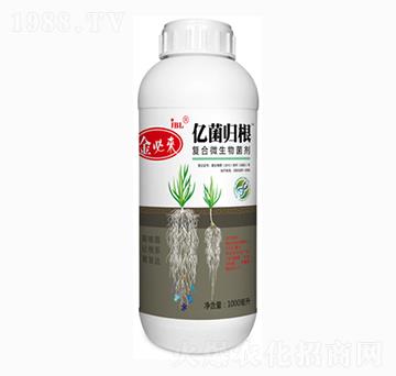 �ͺ�΢�������-�|���w��-��؁�