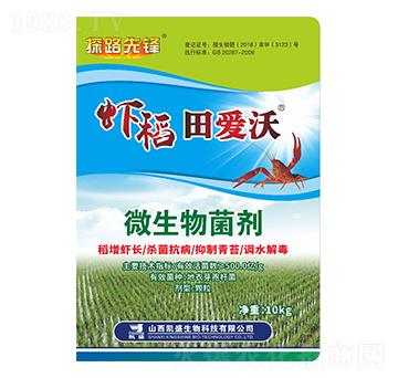 ΢�������-�r�������-�Pʢ�ʘI(y��)