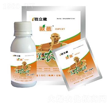 ���r(n��ng)��-������-�����r(n��ng)�I(y��)