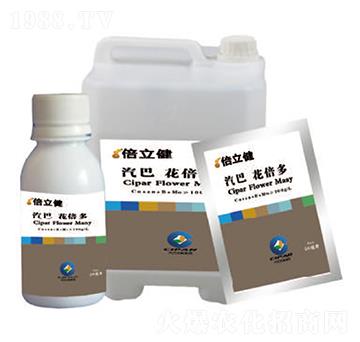 ������-������-�����r(n��ng)�I(y��)