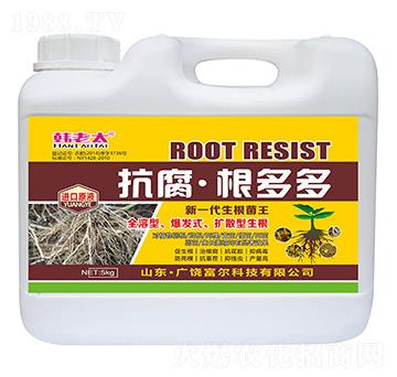 �����������-�n��̫-�����Ƽ�