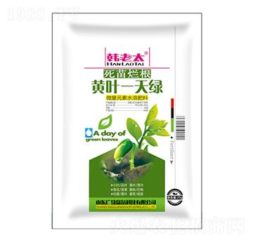 黃葉一天綠-韓老太-富爾科技