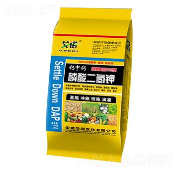 ΢�ʏͺ���������-�A���r��