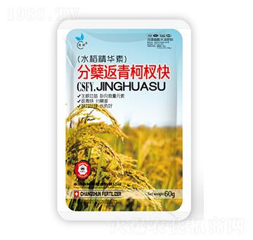 水稻分蘗返青柯杈快-暢瞬