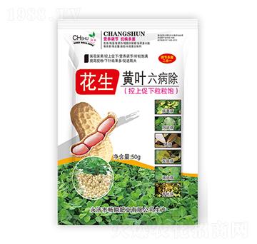 花生黃葉六病除-暢瞬