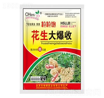 花生大爆收-暢瞬